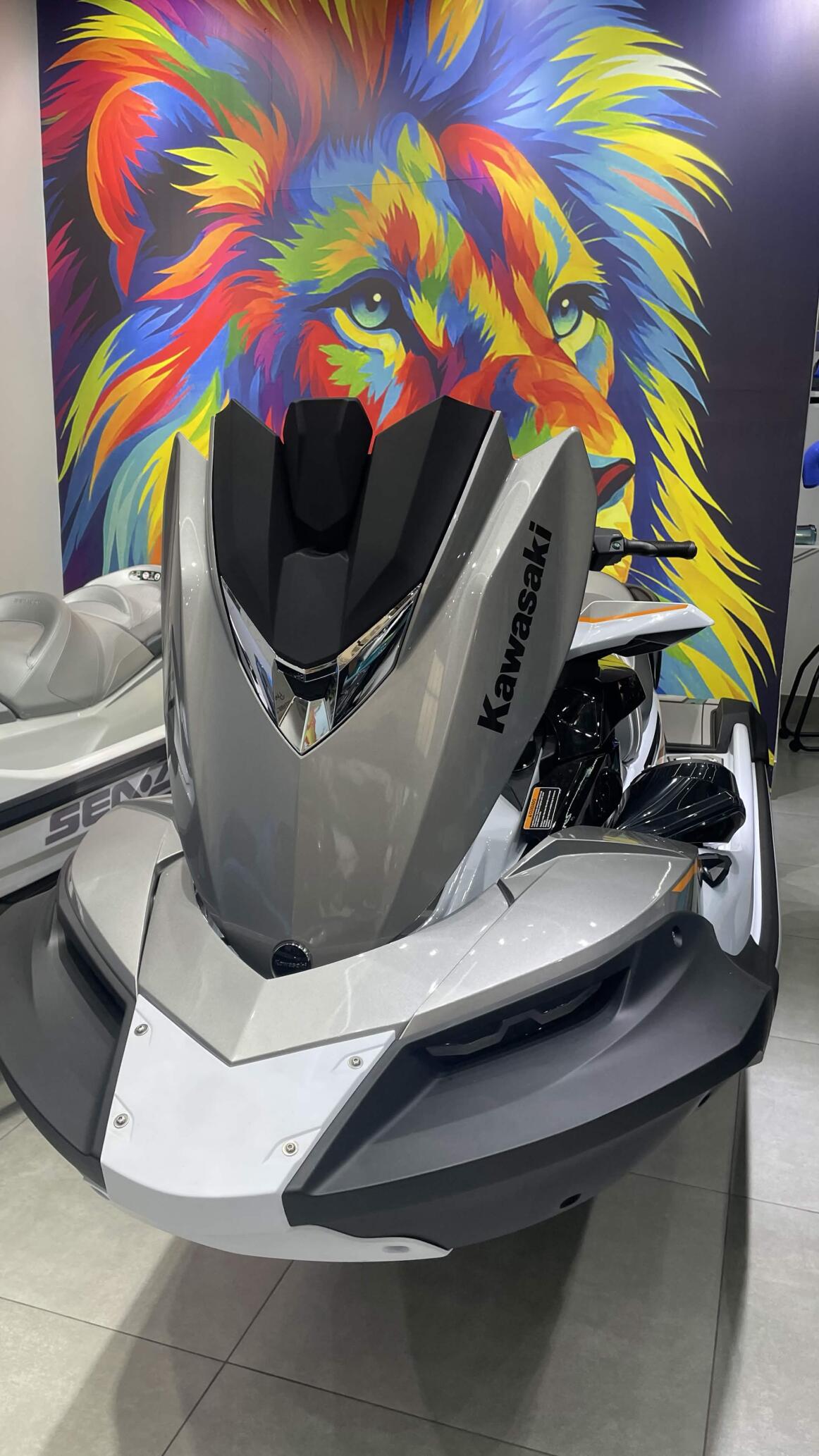 Kawasaki Ultra 310LX Luxury Jetsound